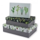 Set de 3 cajas de regalo CACTUS 85225